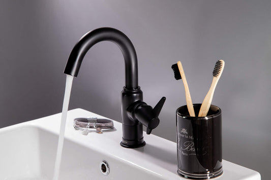 DEANTE Temisto Waschtischarmatur // Nero // BQT-N20M