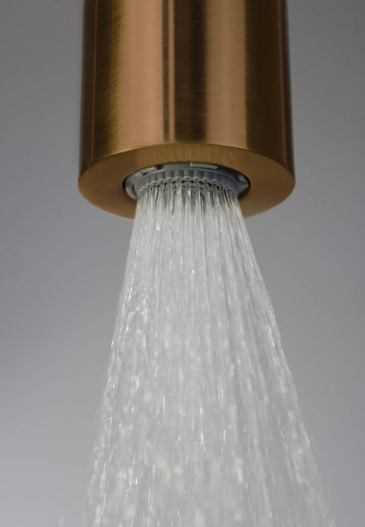 DEANTE Silia Duschkopf // gebürstete Bronze // NQS - C30K erhältlich bei Twoda Shop