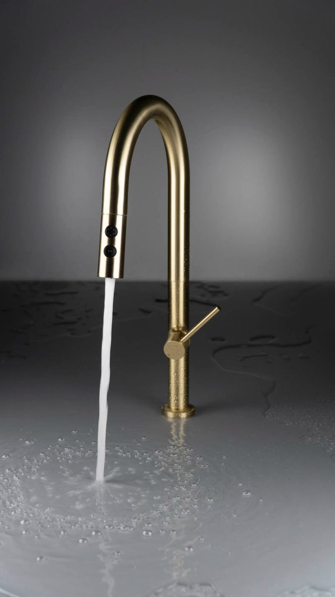 DEANTE Olfato Küchenarmatur mit ausziehbarem Auslauf – 2 Strahlarten // gebürstetes Gold // BQO - R72M erhältlich bei Twoda Shop