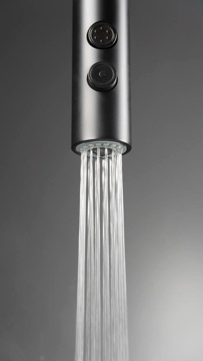 DEANTE Olfato Küchenarmatur mit ausziehbarem Auslauf – 2 Strahlarten // Nero // BQO - N72M erhältlich bei Twoda Shop