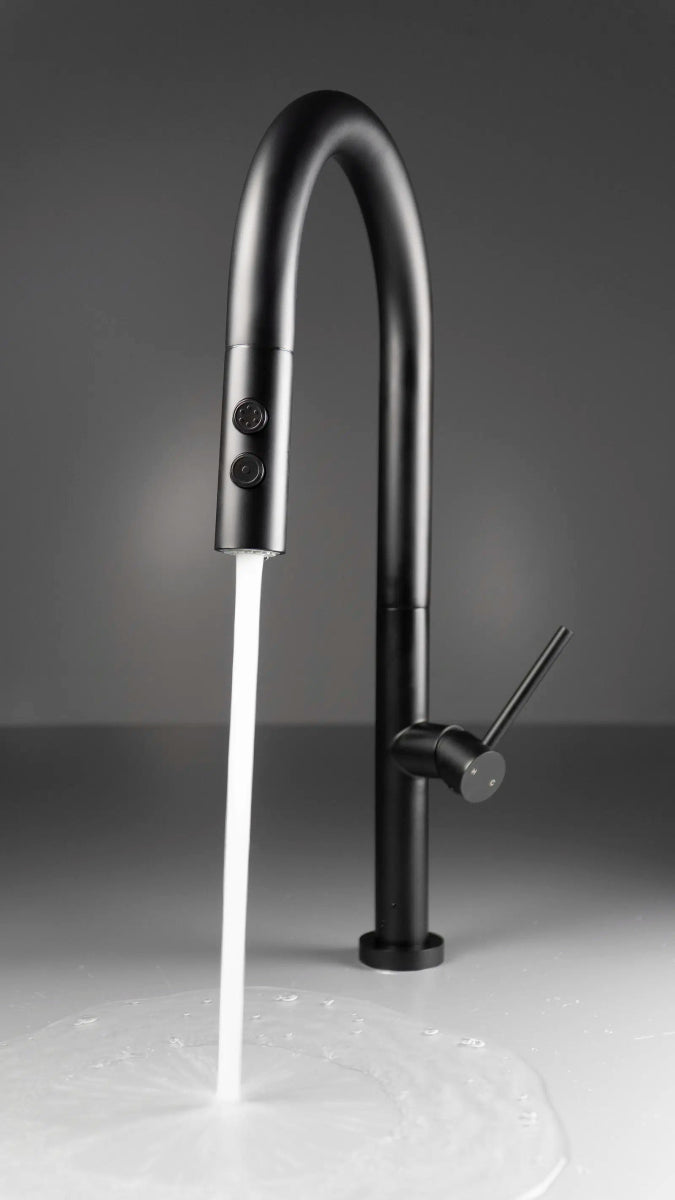 DEANTE Olfato Küchenarmatur mit ausziehbarem Auslauf – 2 Strahlarten // Nero // BQO - N72M erhältlich bei Twoda Shop